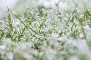 7 Tips for End of Winter and Early Spring Lawn Care