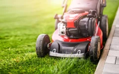 7 signs that you’re cutting your grass too short